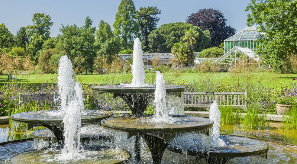 Cambridge University Botanic Garden , United Kingdom